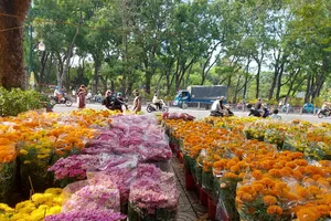 'Tết nay dịch bệnh vậy, tui mua hoa về ngồi ở nhà ngắm cho đã'