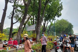 Ngày 30 Tết: Tấp nập mua bán, cây kiểng 'cháy hàng'