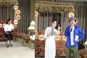 Nghệ sĩ Việt livestream bán vải thiều, mận, bí xanh…giúp bà con