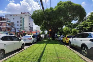 Xe nằm bãi, tài xế đồng lòng cùng TP.HCM chống dịch