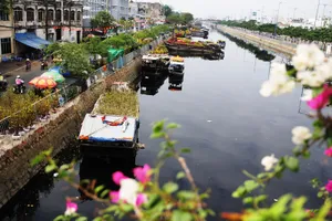 Độc đáo chợ hoa trên bến dưới thuyền giữa Sài Gòn