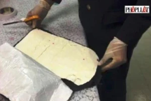 Bắt 1,7 kg cocain tại sân bay Tân Sơn Nhất