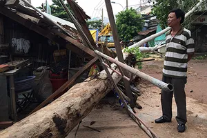 Nhân viên cây xanh đang kiểm tra thì cây đổ đè sập nhà