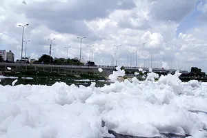 Bọt trắng như tuyết lại nổi 'bồng bềnh' đầy kênh Tàu Hủ