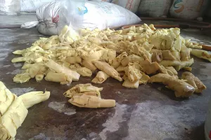 Phát hiện 12 tấn măng ngâm... thuốc nhuộm ở Hóc Môn