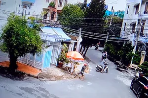 Trộm chim cảnh tiền triệu trong vài chục giây