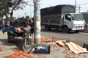 Xe máy lôi chở rau quả tông cột điện, tài xế tử vong