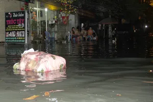 Hàng trăm hộ dân ở quận 12 bị ngập chìm trong nước
