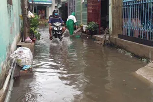 Mưa đột ngột giữa mùa khô, TP.HCM ngập cục bộ