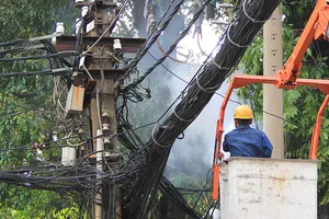 Phong tỏa đường vì nhánh cây gãy gây cháy dây điện 