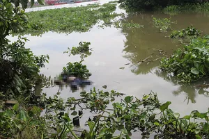 Thi thể nhiều hình xăm trôi lập lờ trên con rạch