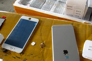 Cả container nghi nhái hàng hiệu tại cảng Cát Lái