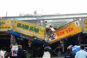 Vợ chồng hoảng hốt tránh cổ thụ đè sập cửa hàng