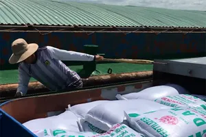 Bắt giữ 5 tàu chở 1000 tấn phân bón không rõ nguồn gốc