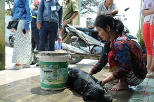 Xì khí độc ở TP.HCM, trường học và dân phải di tản