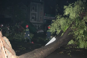 Mưa to gió lớn, nhà tốc mái, hàng loạt cây xanh bật gốc 