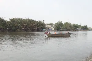 Bơi sông Chợ Đệm hái bần, 1 người mất tích
