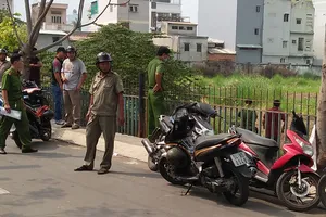 Kinh hoàng: Bé trai bị đàn heo tha ở quận Bình Tân