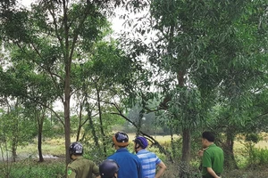 Cảnh sát vây bãi sậy bắt nhóm cướp táo tợn ở Bình Chánh