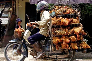 Giả nhân viên kiểm dịch lấy tiền người buôn gà