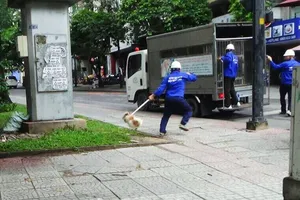 Thấy đội bắt chó, dân quận 1 hoảng hốt xua thú nuôi vào nhà