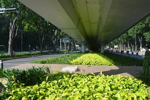 Người đàn ông tử vong cạnh Công viên Gia Định