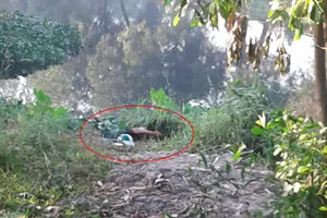 1 người mặc áo Grab nghi bị cướp sát hại ở Bình Chánh