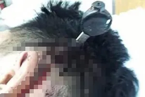 Mâu thuẫn trên Facebook, 2 nhóm học sinh ở Gò Vấp hỗn chiến 