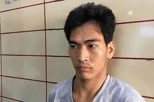 2 bé gái bị dâm ô và hiếp dâm ở công viên tại TP.HCM