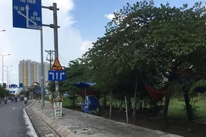 Vụ 'làm luật' cho xe tải vào đường cấm: Vắng bóng các 'cò'