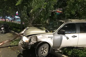 Ô tô mất lái cán hàng loạt cây xanh ở Bình Thạnh