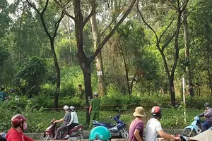 Tá hỏa phát hiện người đàn ông treo cổ ở rừng cây