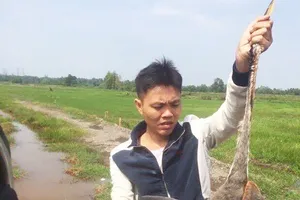 Bạn thân của Tuấn “khỉ” bị khởi tố