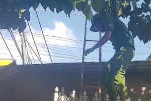 Trộm dỡ mái tôn, hốt sạch tiệm vàng ở Hóc Môn