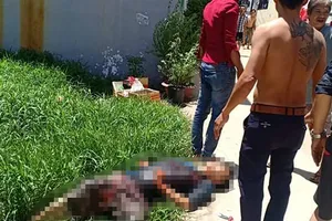 Tới gặp con, bị người tình của vợ cũ đâm tử vong