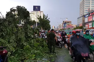 Hàng loạt cây xanh gãy đổ trong mưa lớn, giao thông ùn ứ