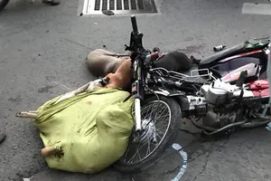 2 xe máy tông nhau, nhiều xác chó văng ra đường