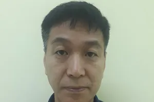Bắt giam giám đốc người Hàn cùng người phụ nữ Việt lừa đảo
