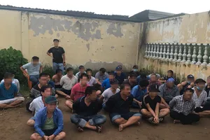 Sới gà 'khủng' ở bãi đất 1 ha ở quận Bình Tân