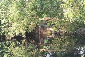 Bình Tân: Người đàn ông chết trong tư thế treo cổ ở lùm cây