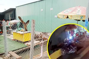 Hố sâu được rào lưới sau khi người và xe rơi xuống