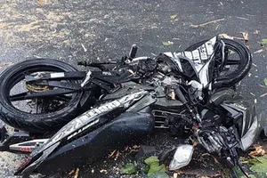 Người bị cây dầu ở đường Nguyễn Tri Phương đè đã tử vong