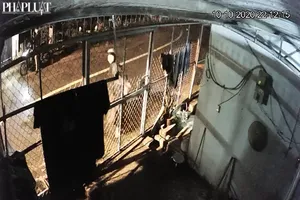 Chết rồi mà nhà vẫn bị nhiều người tới đòi nợ, tạt sơn