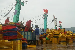 Bình Định: 2 tàu cá bị chìm, hàng chục người mất tích