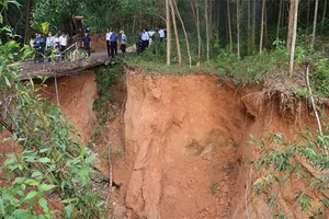 Lãnh đạo tỉnh Bình Định kiểm tra vùng sạt lở trước bão số 9
