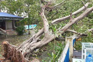 Bình Định: Người dân dọn dẹp nhà cửa, đường phố sau bão