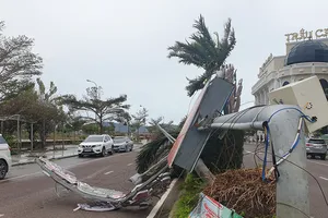 Cảnh tan hoang sau bão số 9 ở TP Quy Nhơn, Bình Định