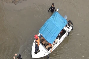 Người đàn ông nói đi mua đồ ăn nhưng nhảy cầu Ông Thìn