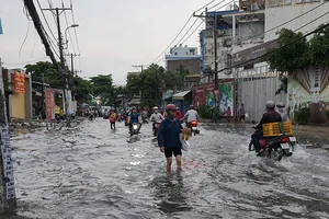 Mưa lớn, đường ngập, cây ngã khắp nơi ở TP.HCM