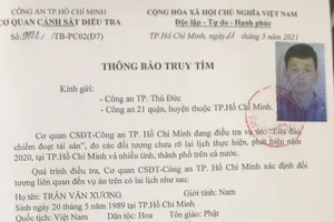 Lợi dụng nhiều trang thương mại điện tử để lừa đảo
